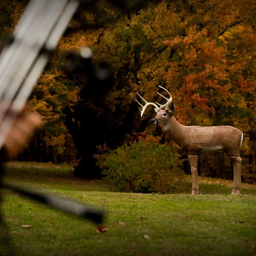 Delta Bloodline Backyard Buck 3D Archery Target