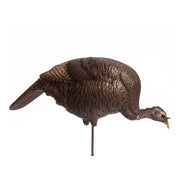 Dave Smith Decoys Feeding Hen