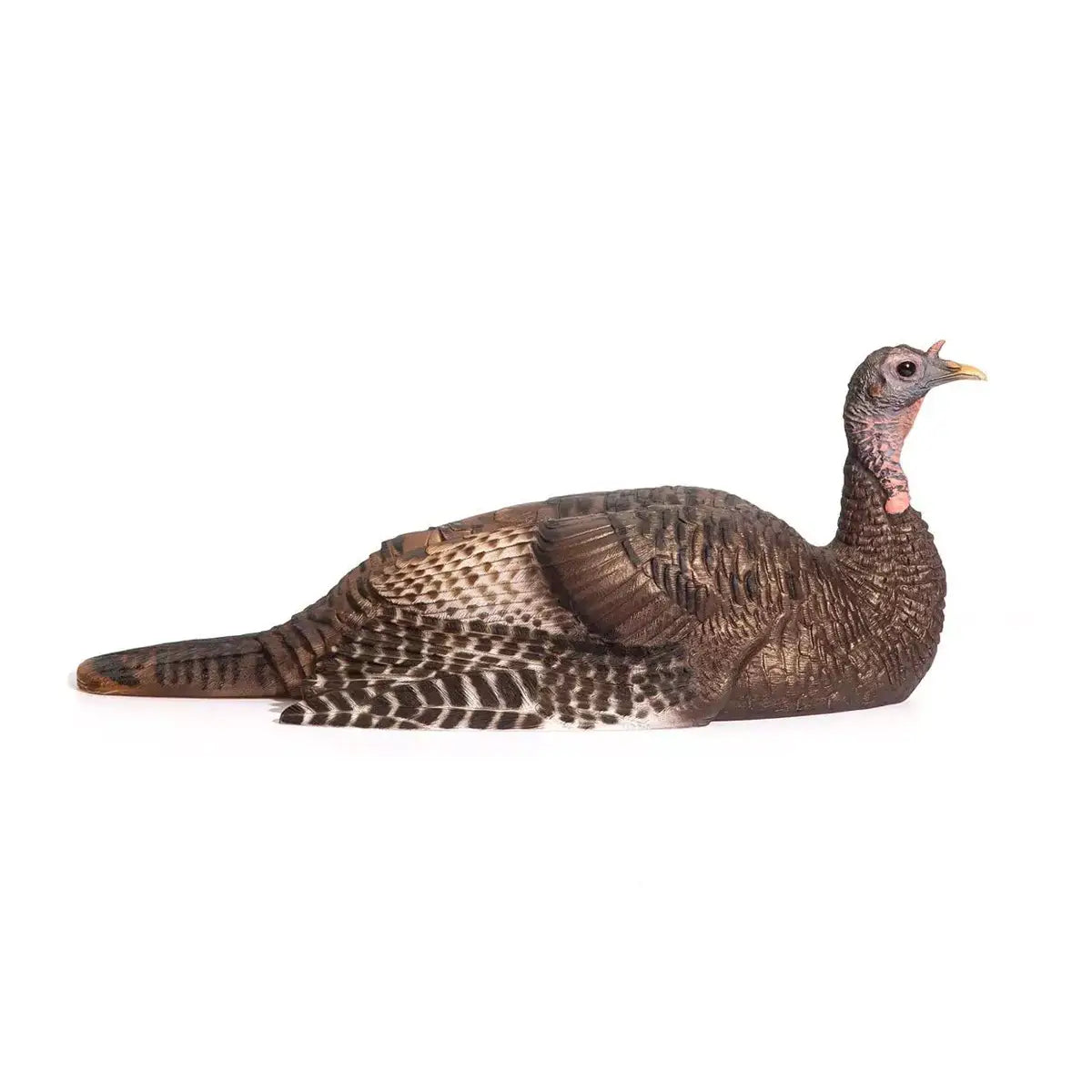 Realistic turkey decoy on a white background