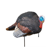 Higdon Hard Body Breeding Jake Turkey