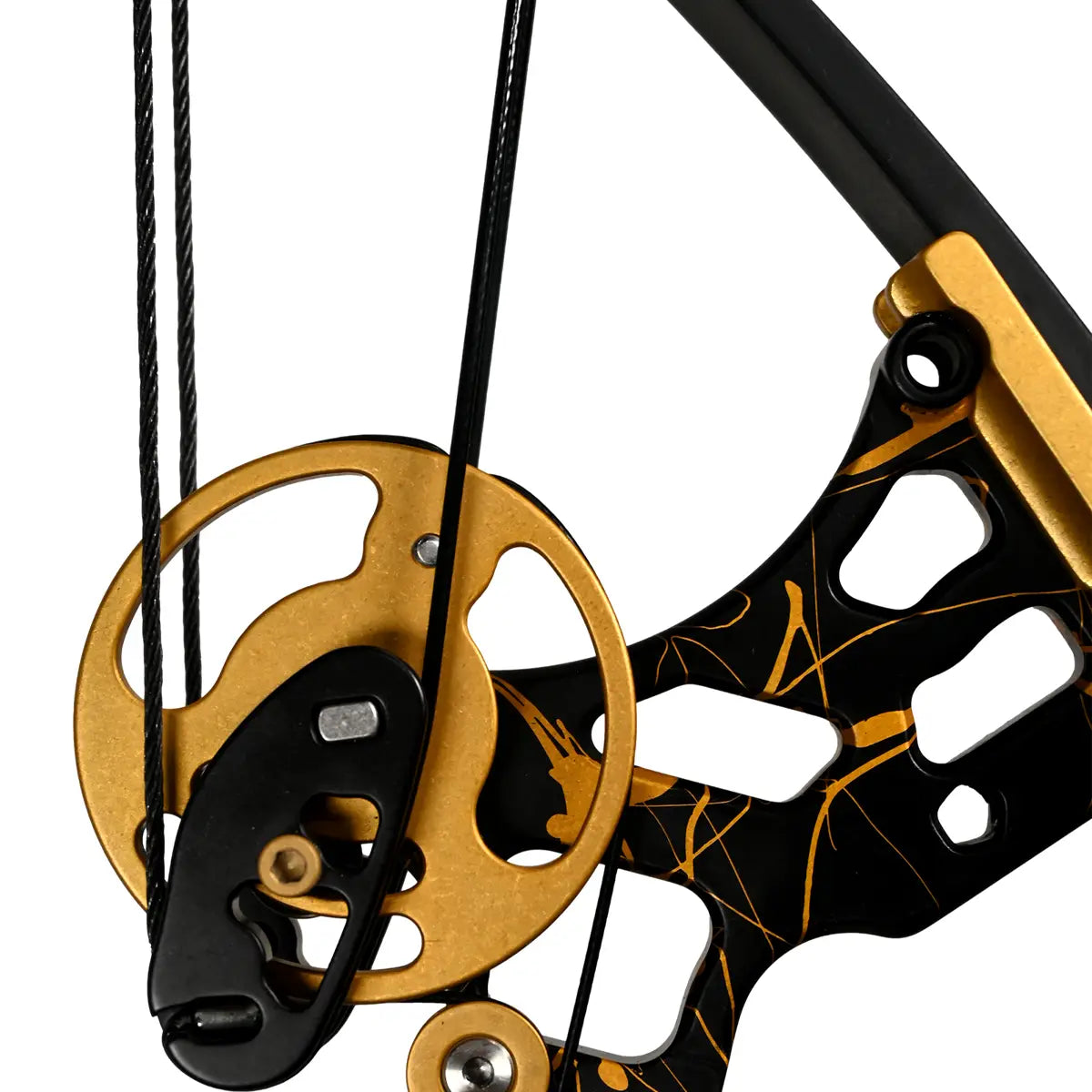 Mega-Rex Bowfishing Bow