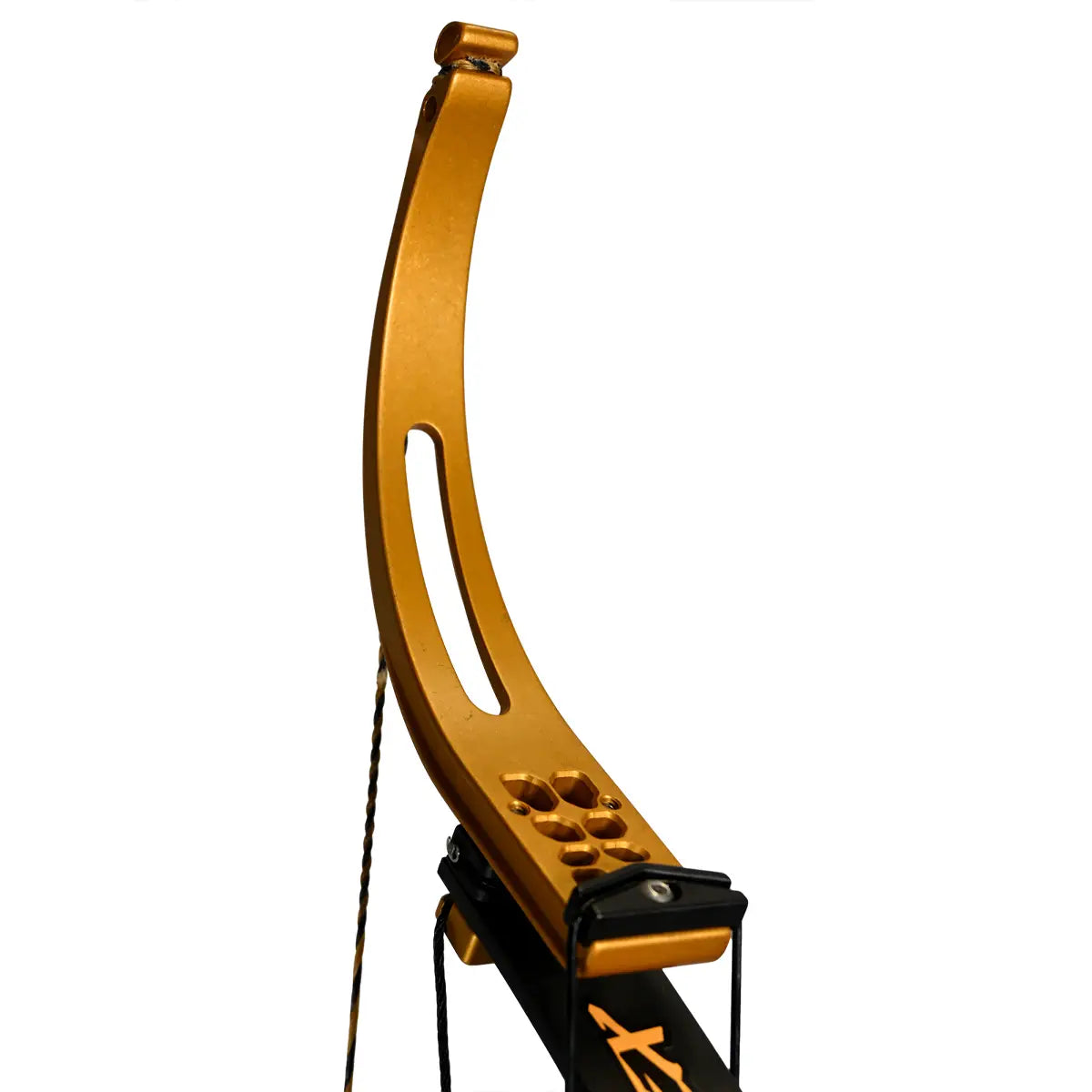 Mega-Rex Bowfishing Bow