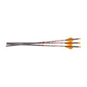 Ravin .003 Premium Lighted Arrows