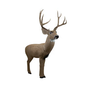 Rinehart Signature Mule Deer